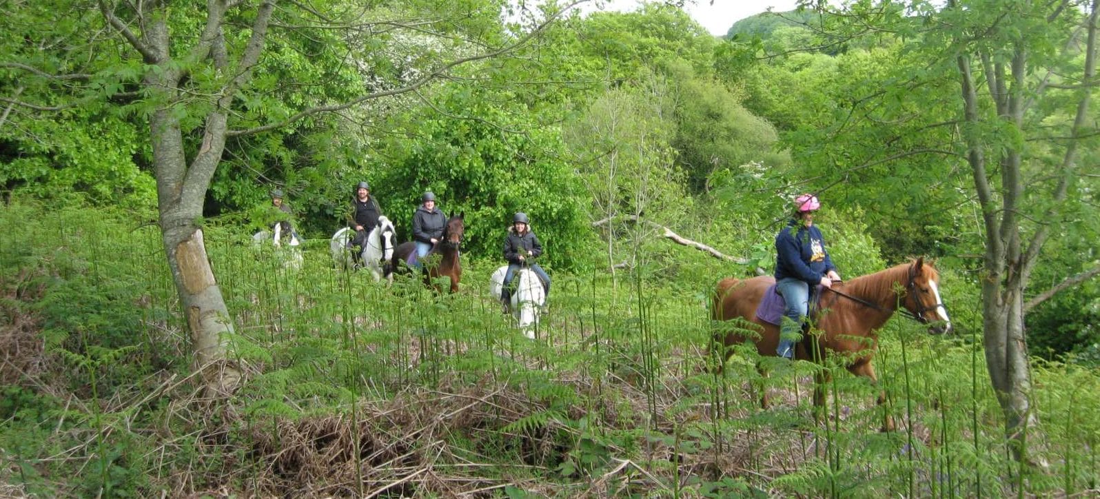 Rockwood Riding Centre