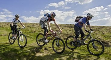 Cwmcarn Forest